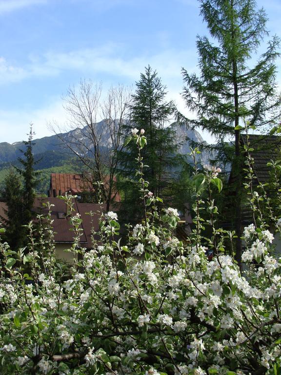 Holiday Home Patchwork Barn Zakopane Bagian luar foto